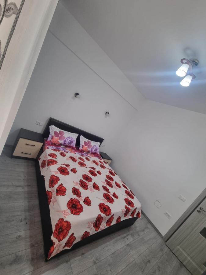 Apartament Mihaela Râmnicu Vâlcea Dış mekan fotoğraf